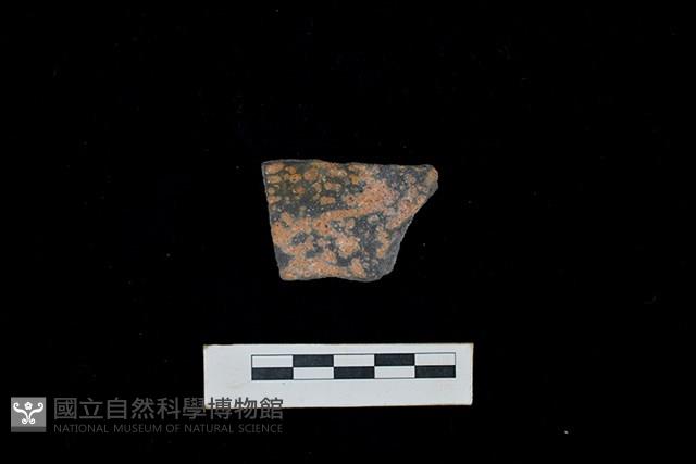 陶片藏品圖，第1張