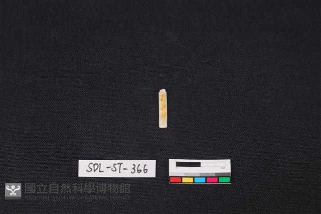 玉飾藏品圖，第1張