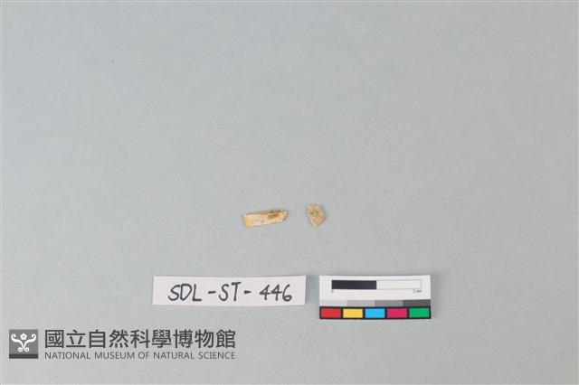 玉飾藏品圖，第1張