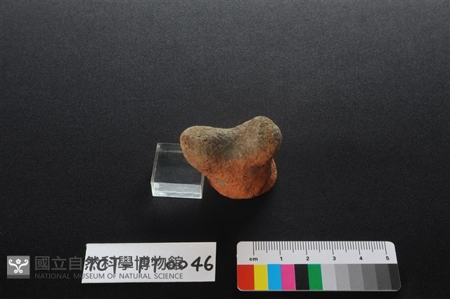 陶蓋鈕藏品圖，第1張