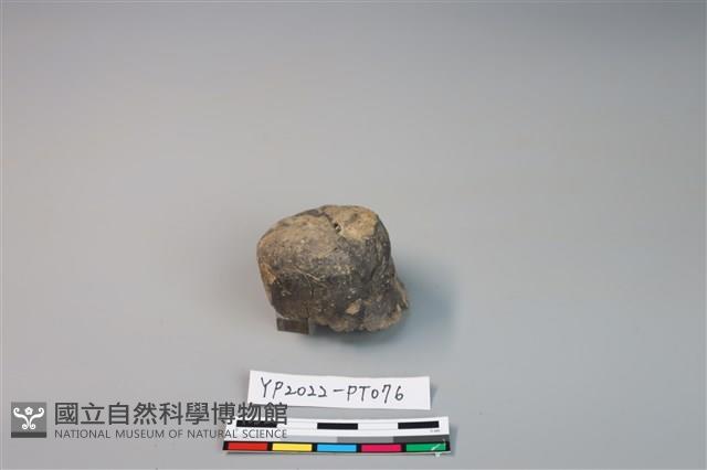 陶鈕藏品圖，第1張