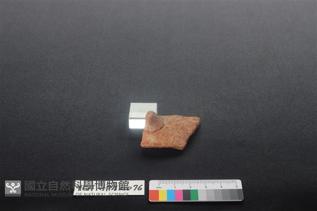 陶鈕藏品圖，第1張