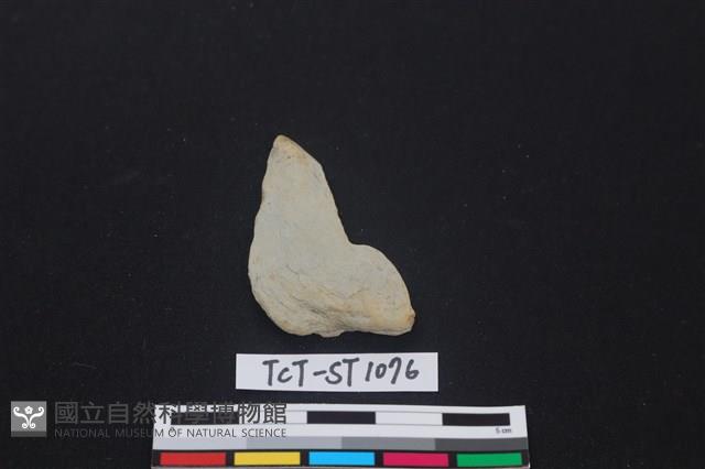 矛鏃形器藏品圖，第1張