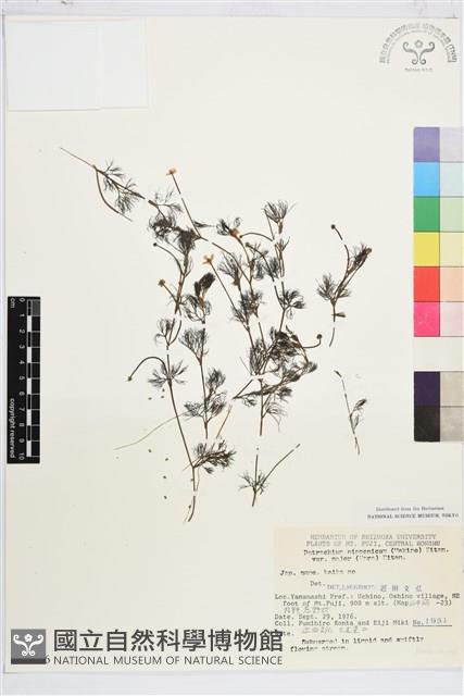 登錄號:S049176藏品圖，第1張