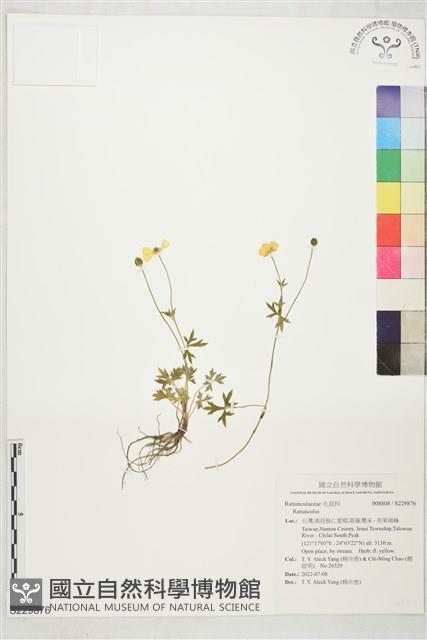 登錄號:S229876藏品圖，第1張