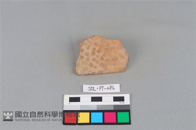 陶片藏品圖，第1張