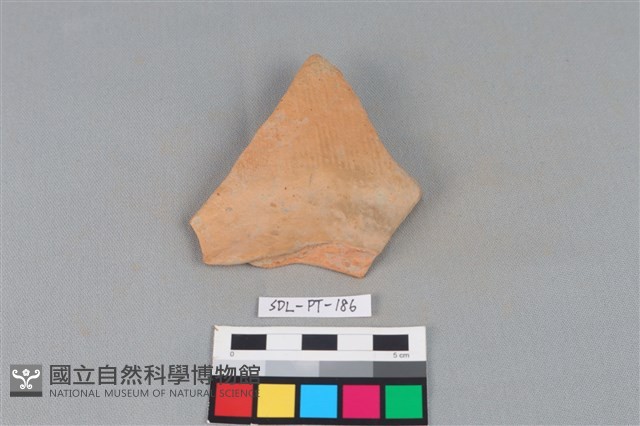 陶片藏品圖，第1張