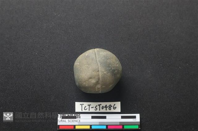 網墜藏品圖，第1張