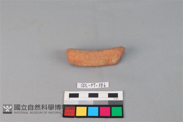 陶網墜藏品圖，第1張