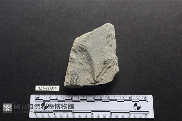 磨製斧鋤形器藏品圖，第1張
