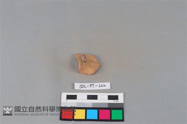 陶片藏品圖，第1張