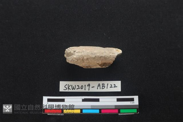 獸骨藏品圖，第1張