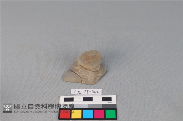 陶蓋藏品圖，第1張