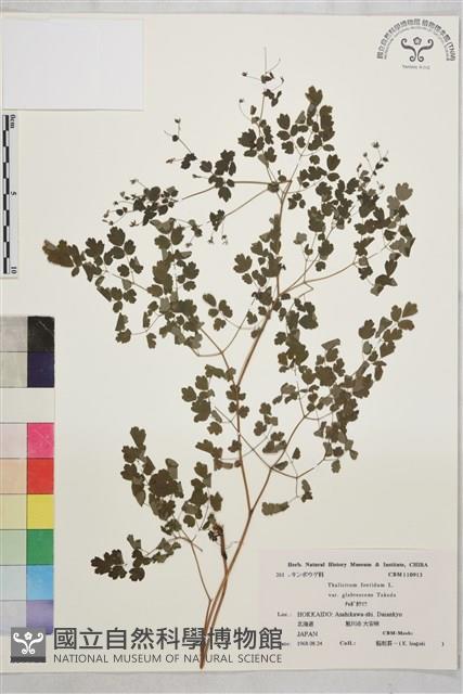 Accession Number:S039922 Collection Image