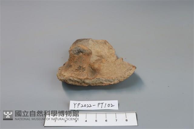 碗/淺盤型陶蓋藏品圖，第1張