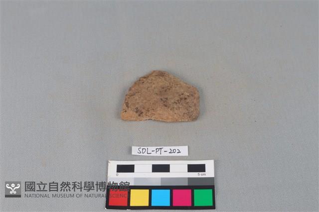 陶片藏品圖，第1張