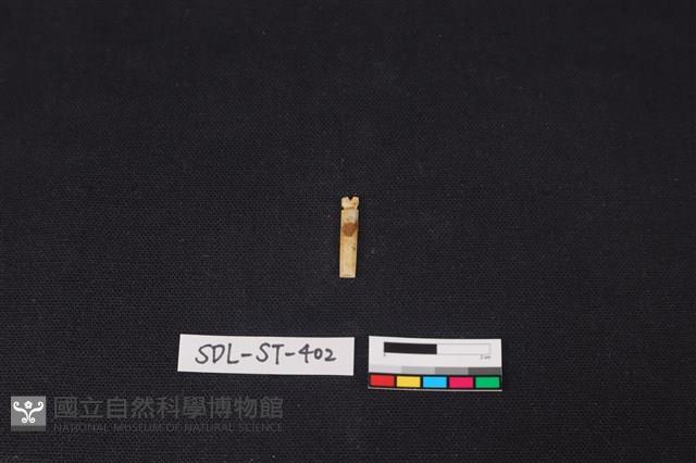 玉飾藏品圖，第1張