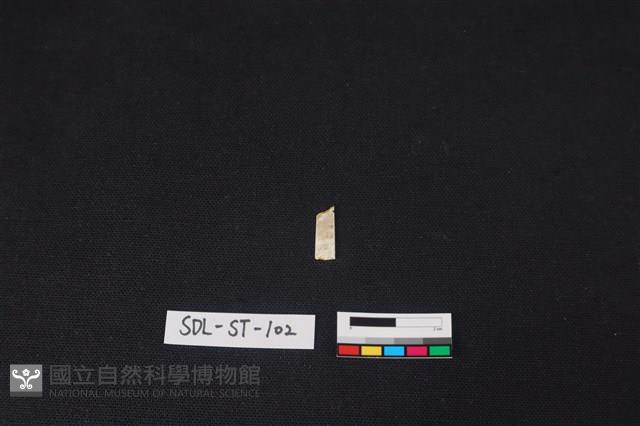 玉飾藏品圖，第1張