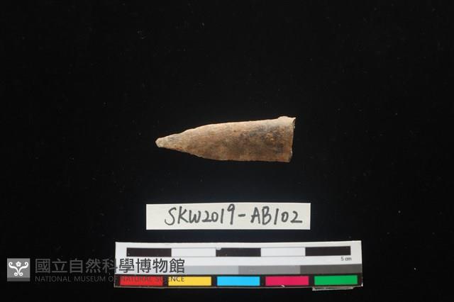 獸骨藏品圖，第1張