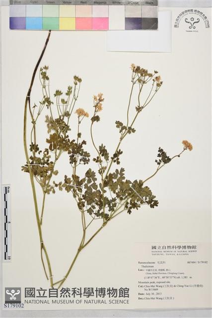 登錄號:S179102藏品圖，第1張