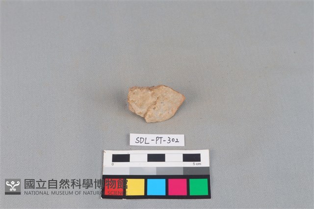 陶片藏品圖，第1張