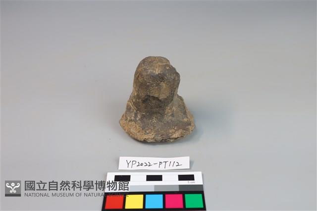 碗/淺盤型陶蓋藏品圖，第1張