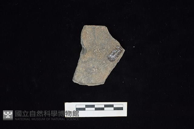 陶片藏品圖，第1張