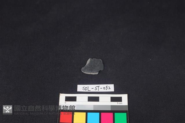 Accession Number:SDL-ST-052 Collection Image, Figure 1, Total 2 Figures