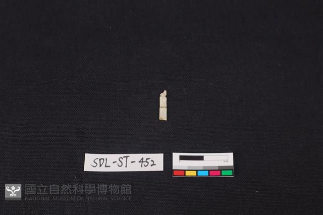 玉飾藏品圖，第1張