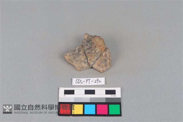 陶片藏品圖，第1張
