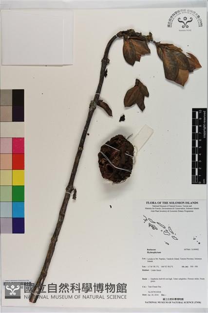 登錄號:S199992藏品圖，第1張