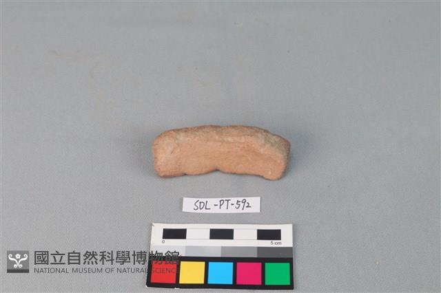 陶網墜藏品圖，第1張