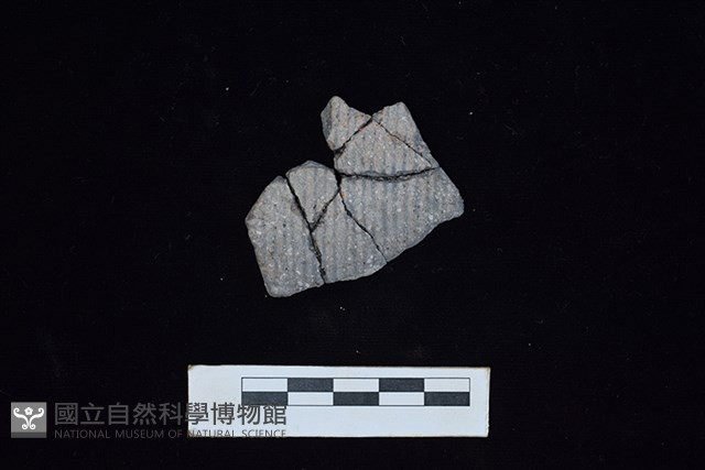 陶片藏品圖，第1張