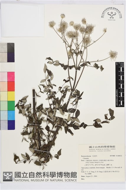 登錄號:S168432藏品圖，第1張