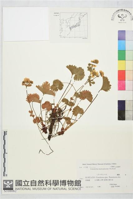 登錄號:S108062藏品圖，第1張