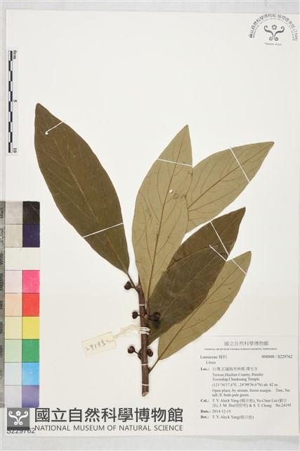 登錄號:S229762藏品圖，第1張