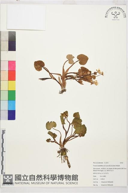 登錄號:S178562藏品圖，第1張