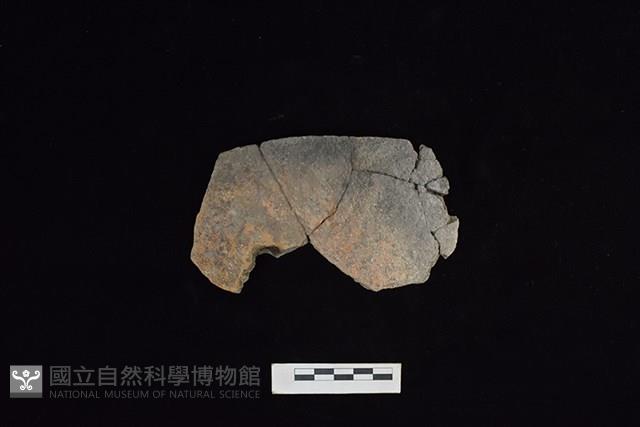 陶盆藏品圖，第1張