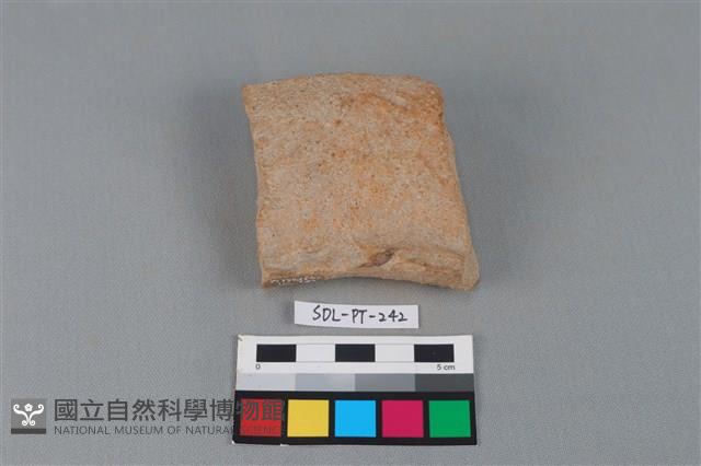 陶罐藏品圖，第1張