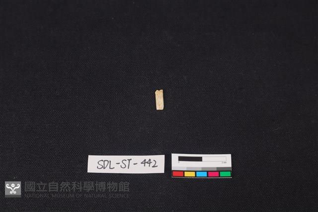 玉飾藏品圖，第1張