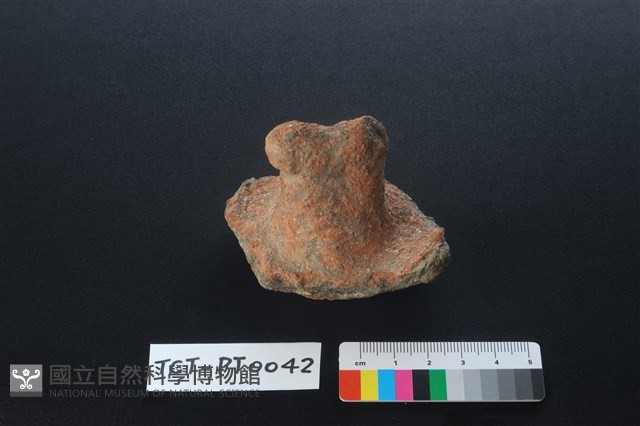 陶蓋鈕藏品圖，第1張