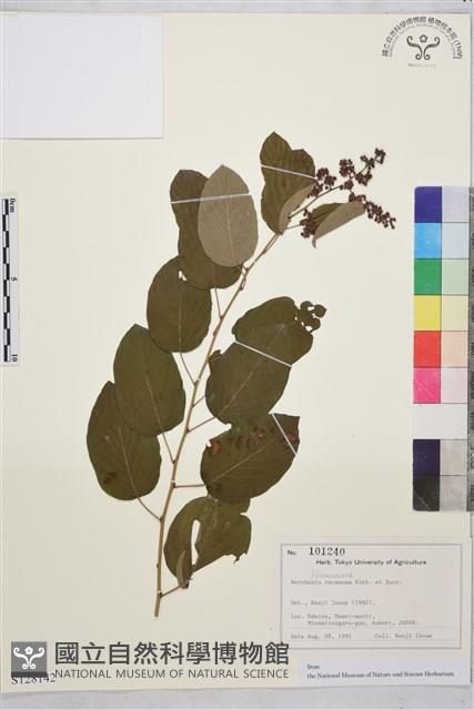 登錄號:S128142藏品圖，第1張