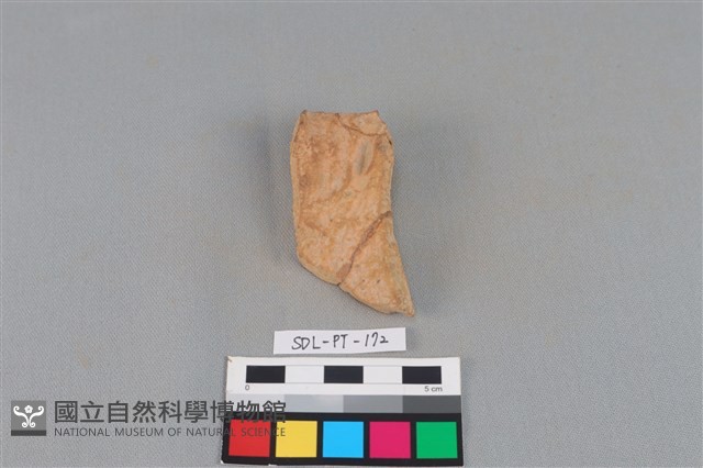 連杯形器藏品圖，第1張