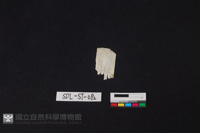 玉飾藏品圖，第1張