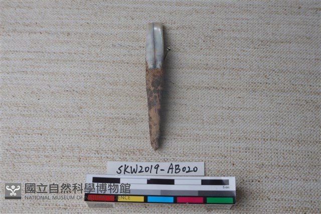 獸骨藏品圖，第1張