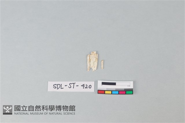 玉飾藏品圖，第1張