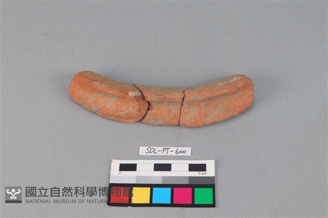 陶網墜藏品圖，第1張