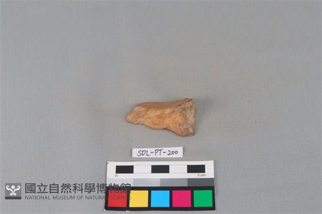 連杯形器藏品圖，第1張