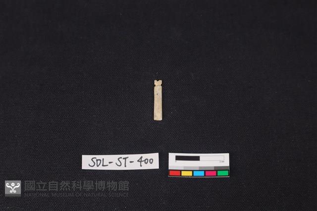 玉飾藏品圖，第1張