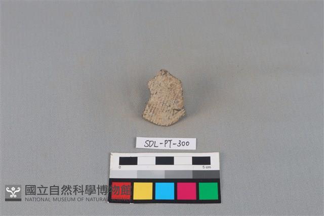 陶片藏品圖，第1張